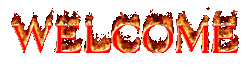 2530464 4